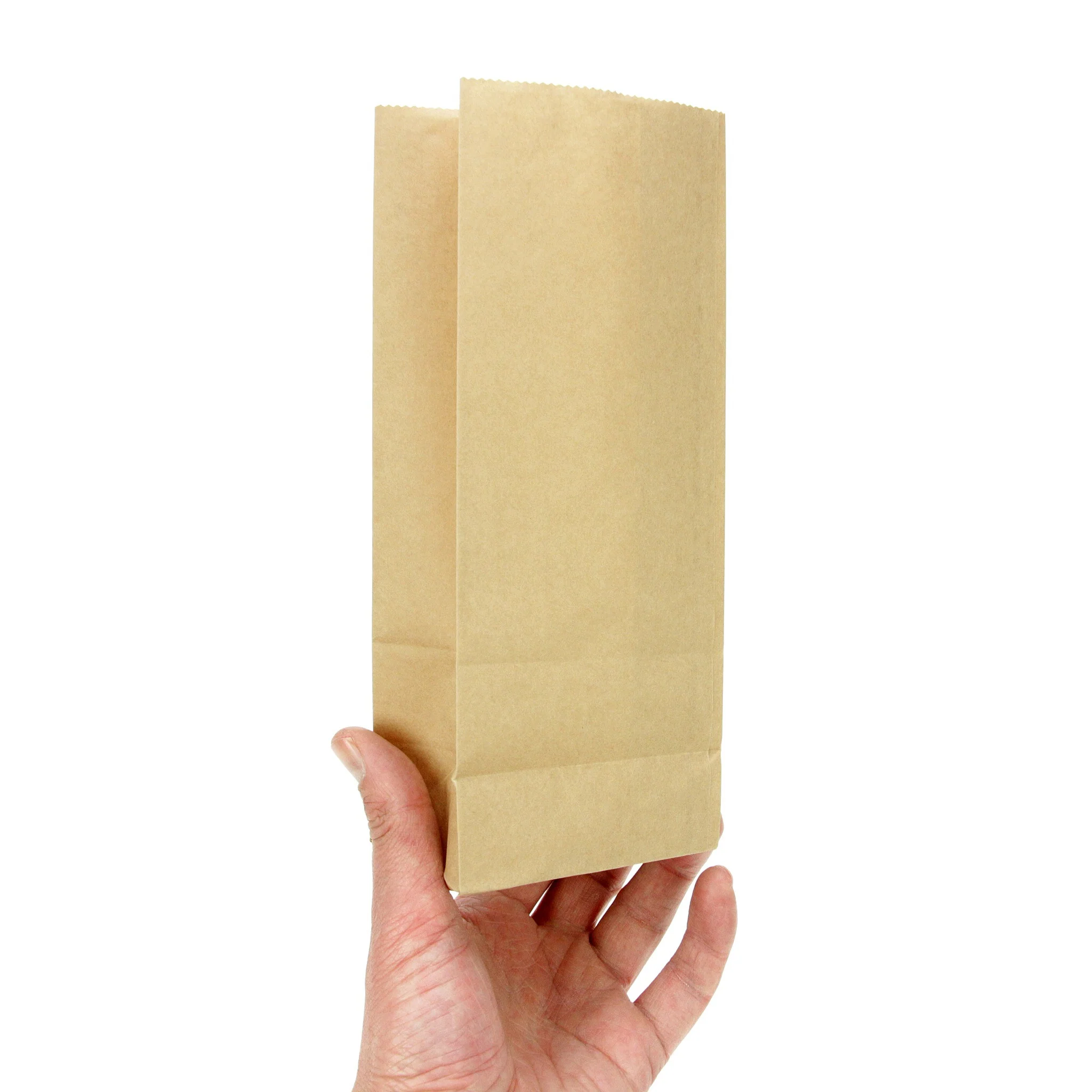 100 Kraft Paper Bags - Image 4