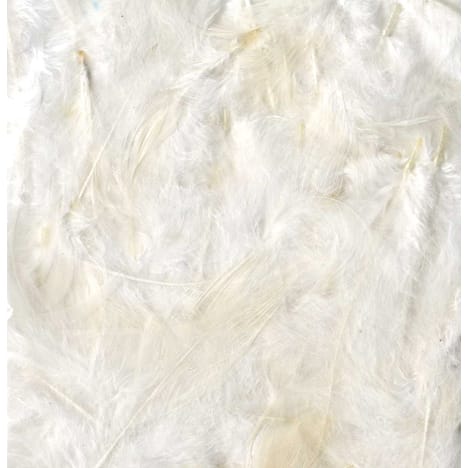 Artemio Coloured Feathers 10G