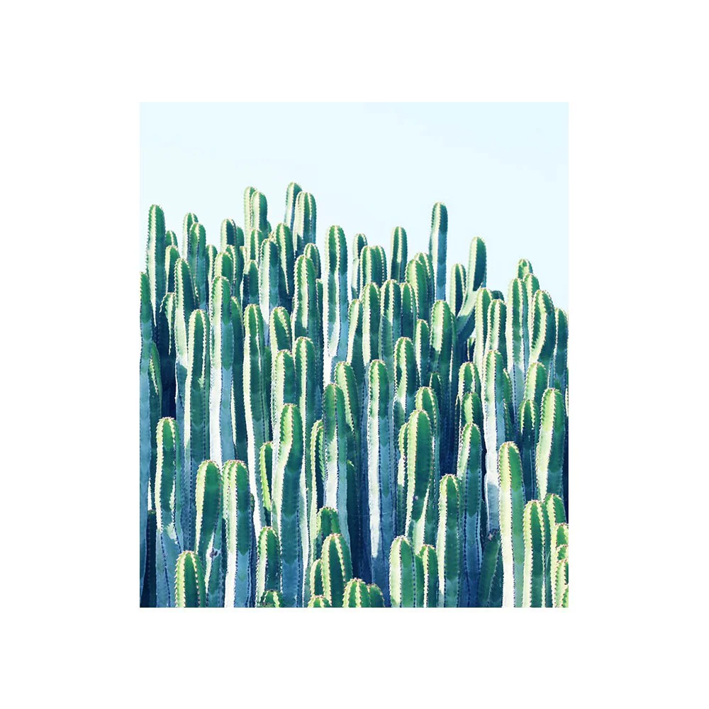 83 Oranges Pink Cactus Card