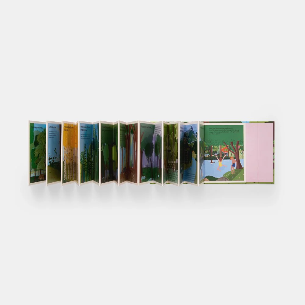 A Family of Trees: My First Book of Forests - Image 2