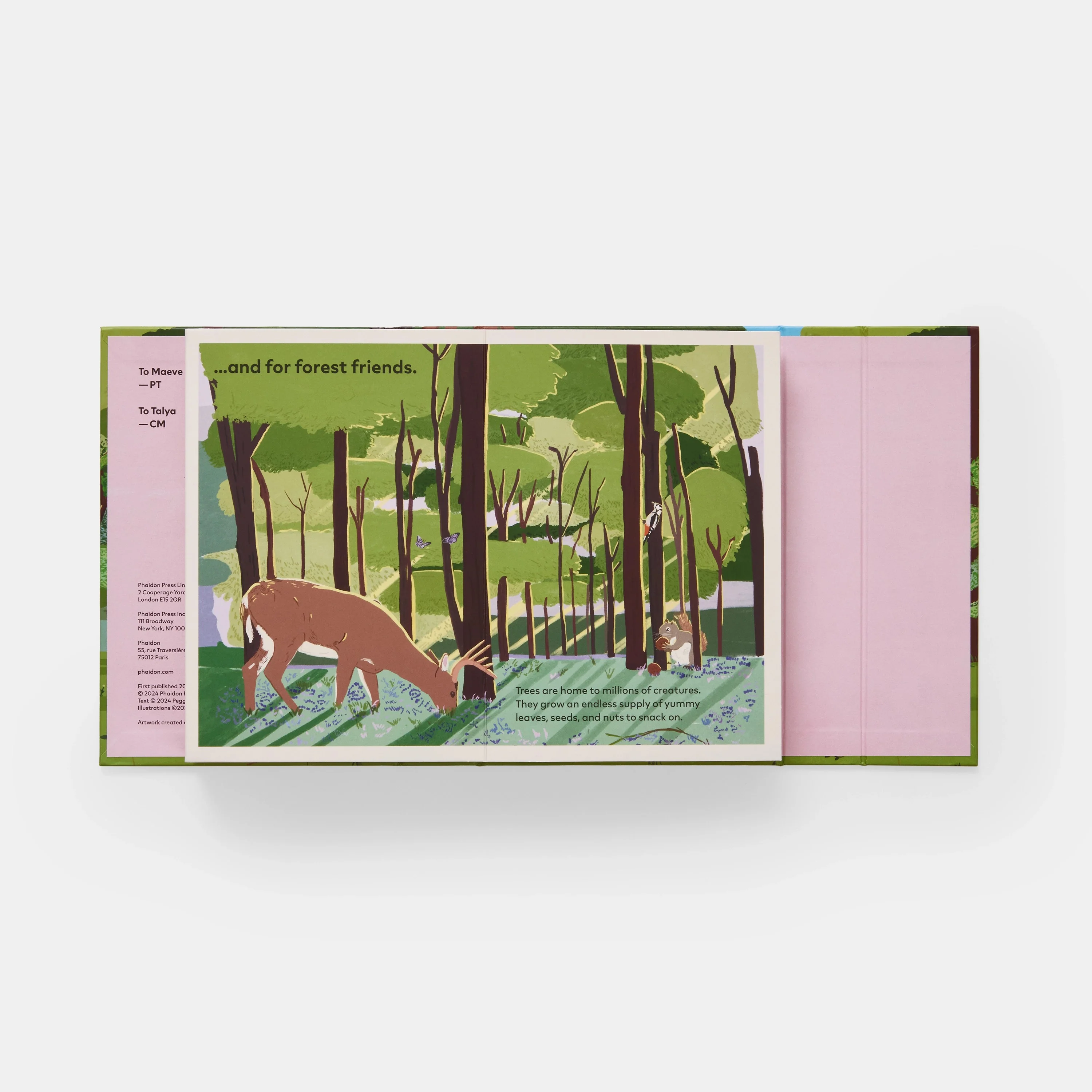 A Family of Trees: My First Book of Forests - Image 4