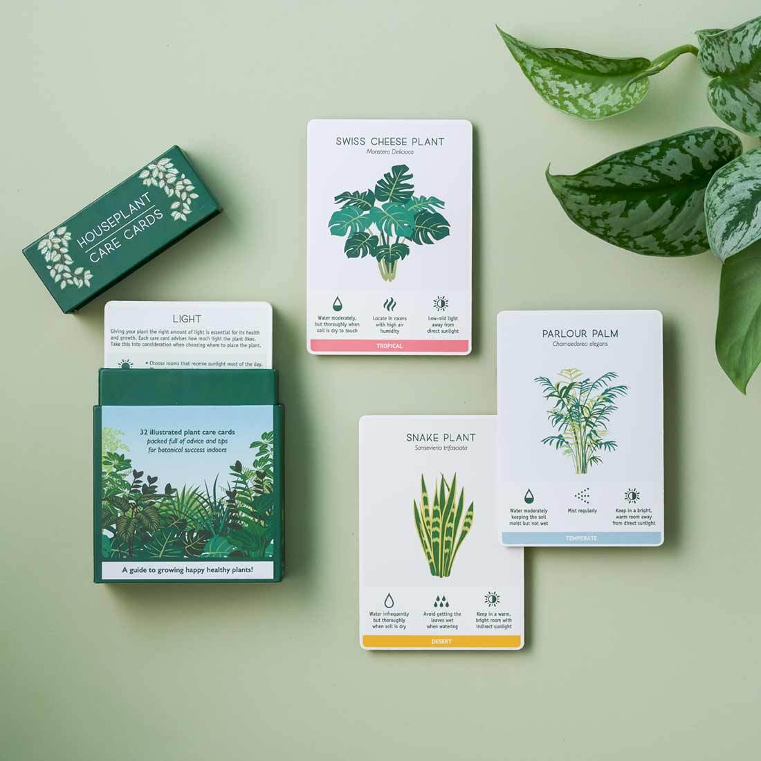 Another Studio - Houseplant Care Cards - Image 2