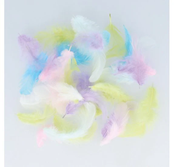 Artemio Coloured Feathers - Rainbow - Image 3