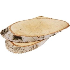 Birch Wood Slices