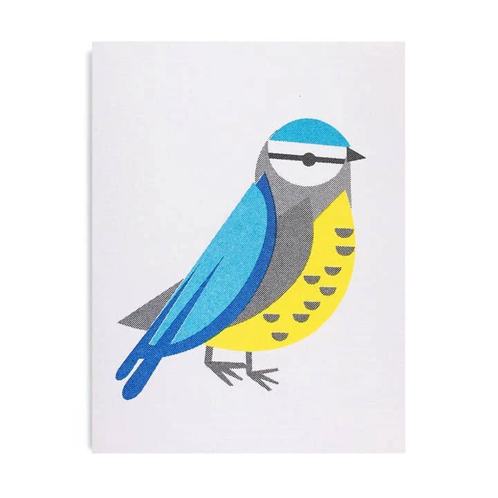 Blue Tit Mini Card
