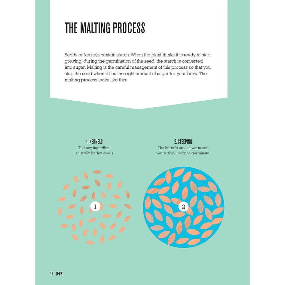 BREW: A Graphic Guide to Home Brewing - Image 2