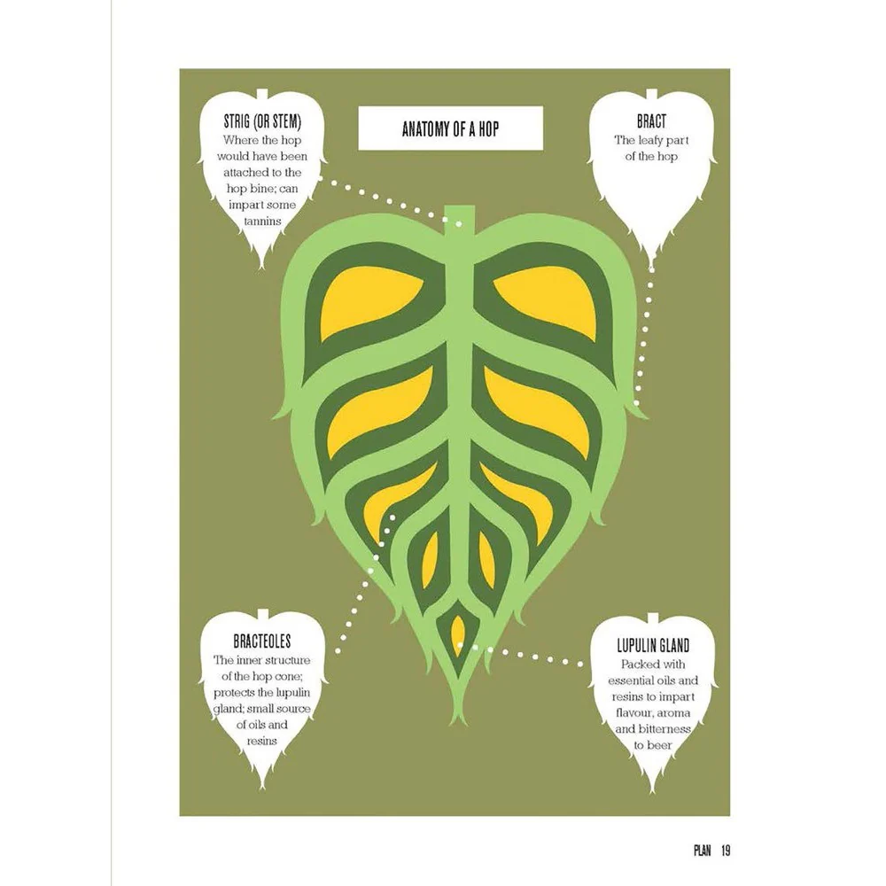 BREW: A Graphic Guide to Home Brewing - Image 3