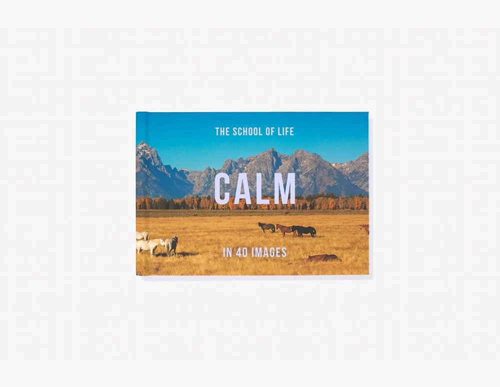Calm In 40 Images