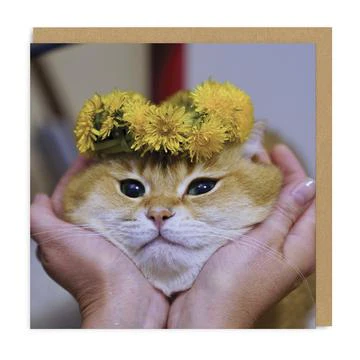 Cat Face Greetings Card