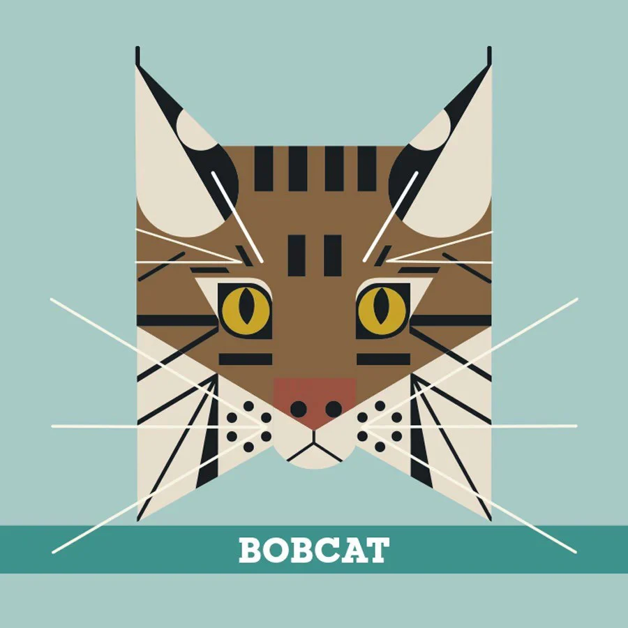 Charley Harper: Memory Game - Animals - Image 3