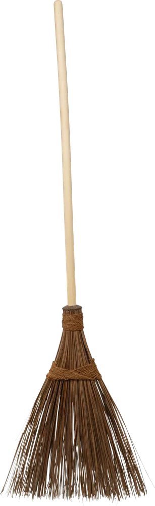 Coconut Broom