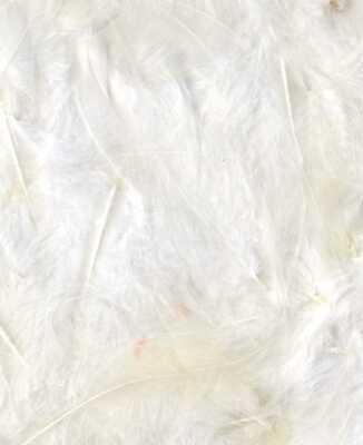 Artemio Coloured Feathers 8-12cm - Image 6