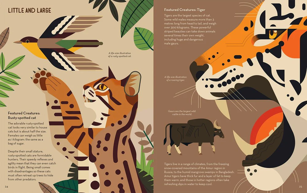 Crazy About Cats - Image 2