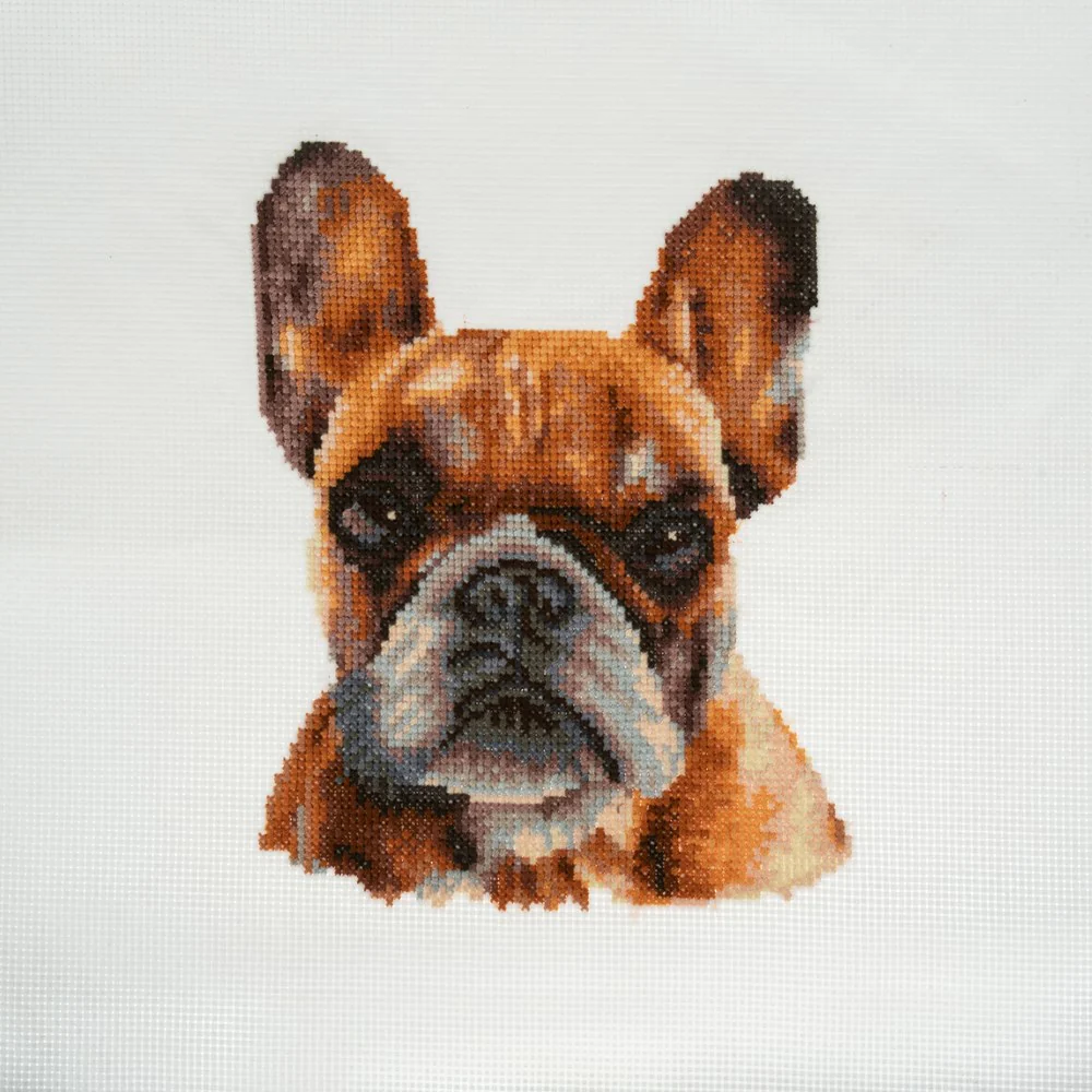Cross Stitch Kit Large - French Bulldog - Image 2