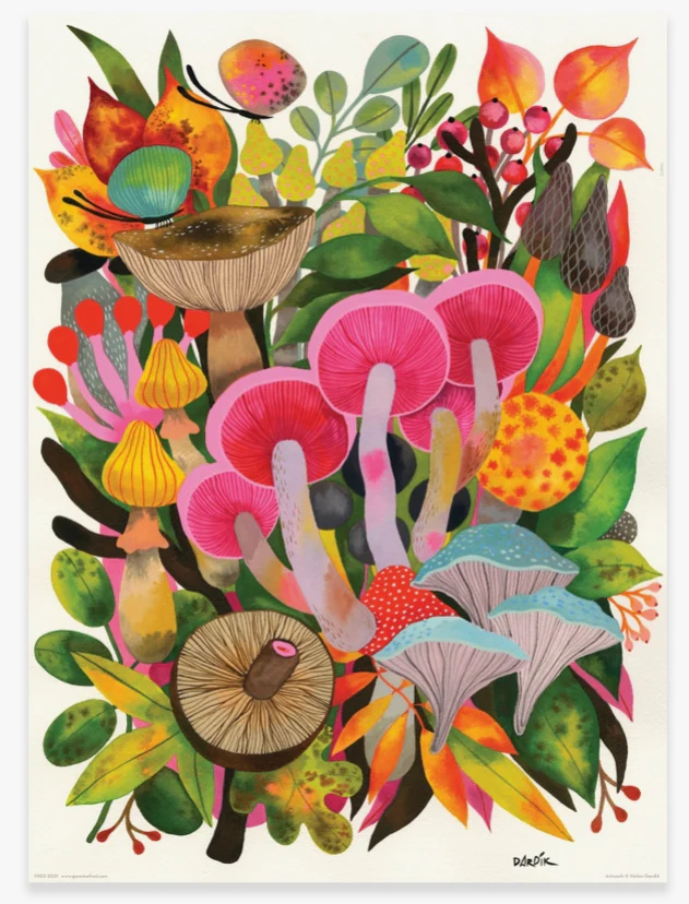 Dardik Mushrooms Puzzle 500 Pc - Image 2