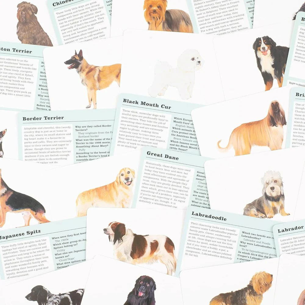 Do You Know Your Dogs? - Image 2