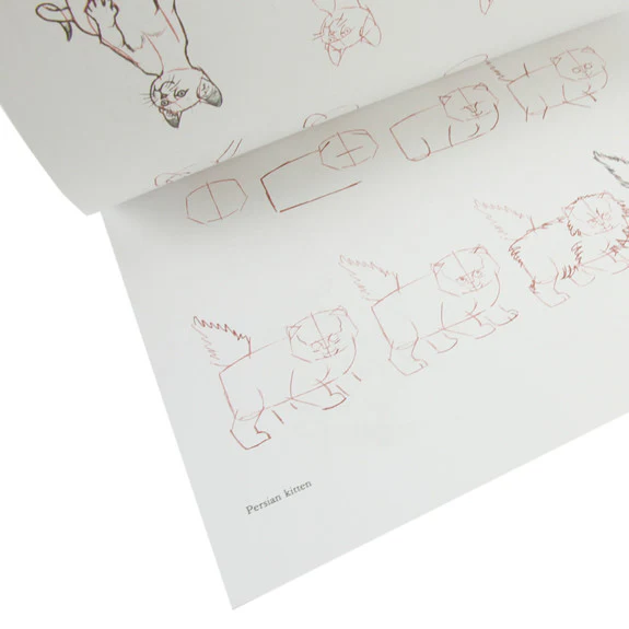 Draw 50 Cats - Image 2