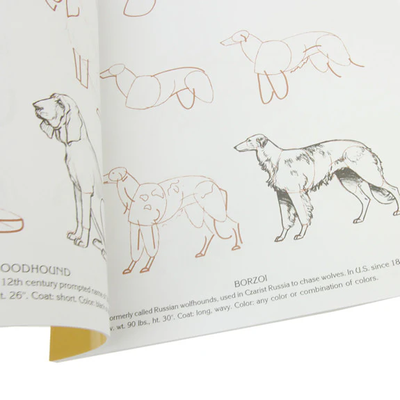 Draw 50 Dogs - Image 3