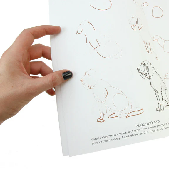 Draw 50 Dogs - Image 4