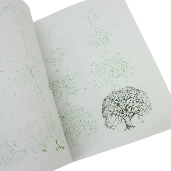 Draw 50 Flowers, Trees and Other Plants - Image 3