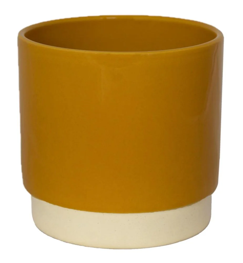 Eno Pot Mustard