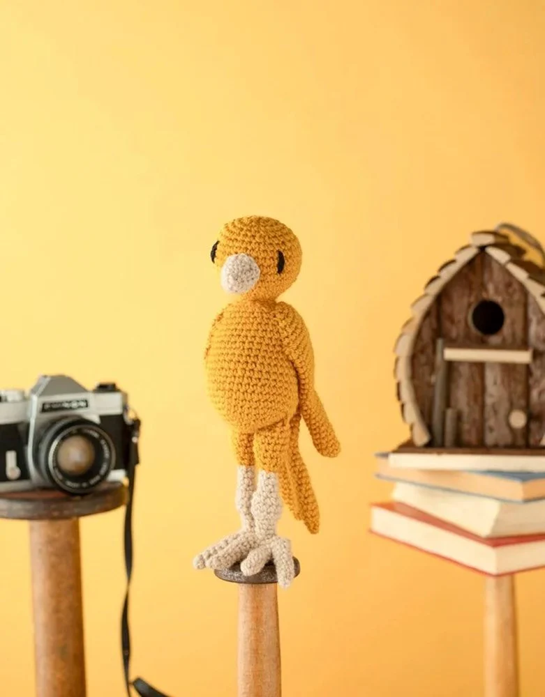 Ernest the Canary Kit - Image 2