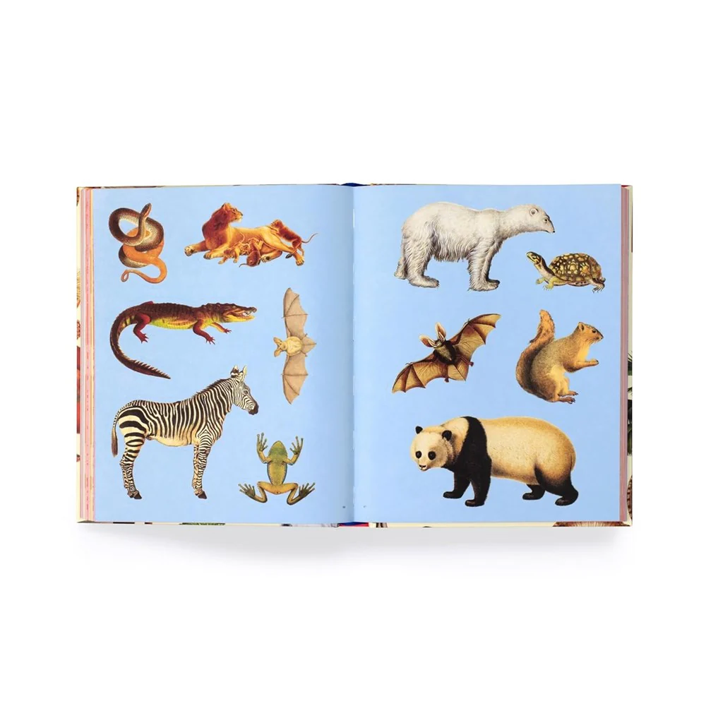 Extraordinary Things Sticker Book - Image 2