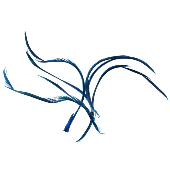 Feather Biots 6 Pk - Image 4