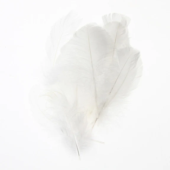 Feather Leaves Nat White12 Pk