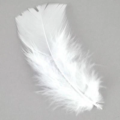 Feather Petals - Image 15