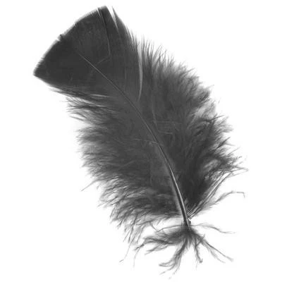 Feather Petals - Image 18