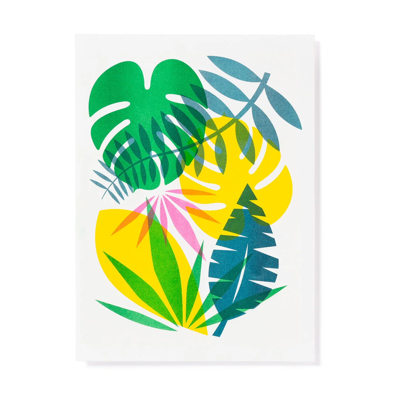 Riso Print - Flora - Image 4
