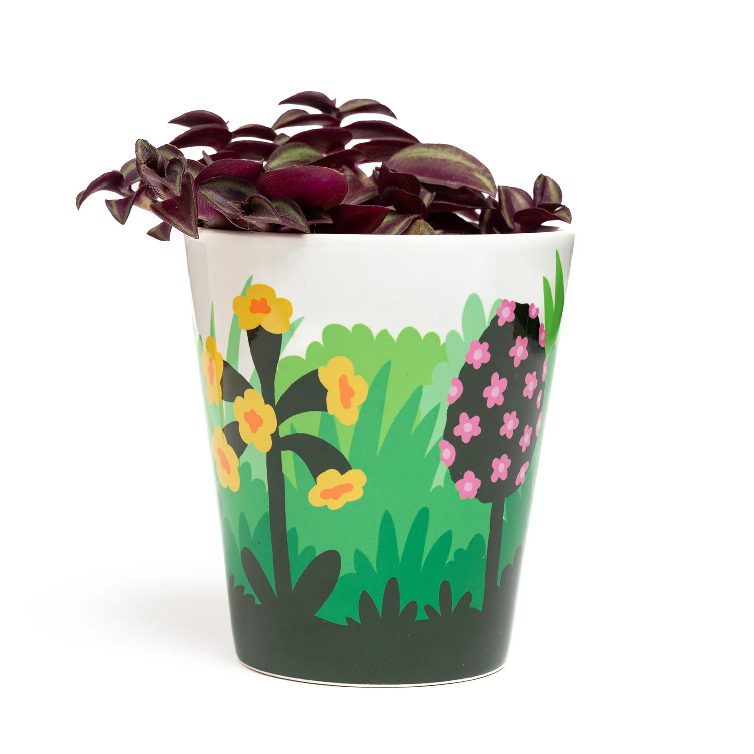 Fred Aldous Aster Plant Pot