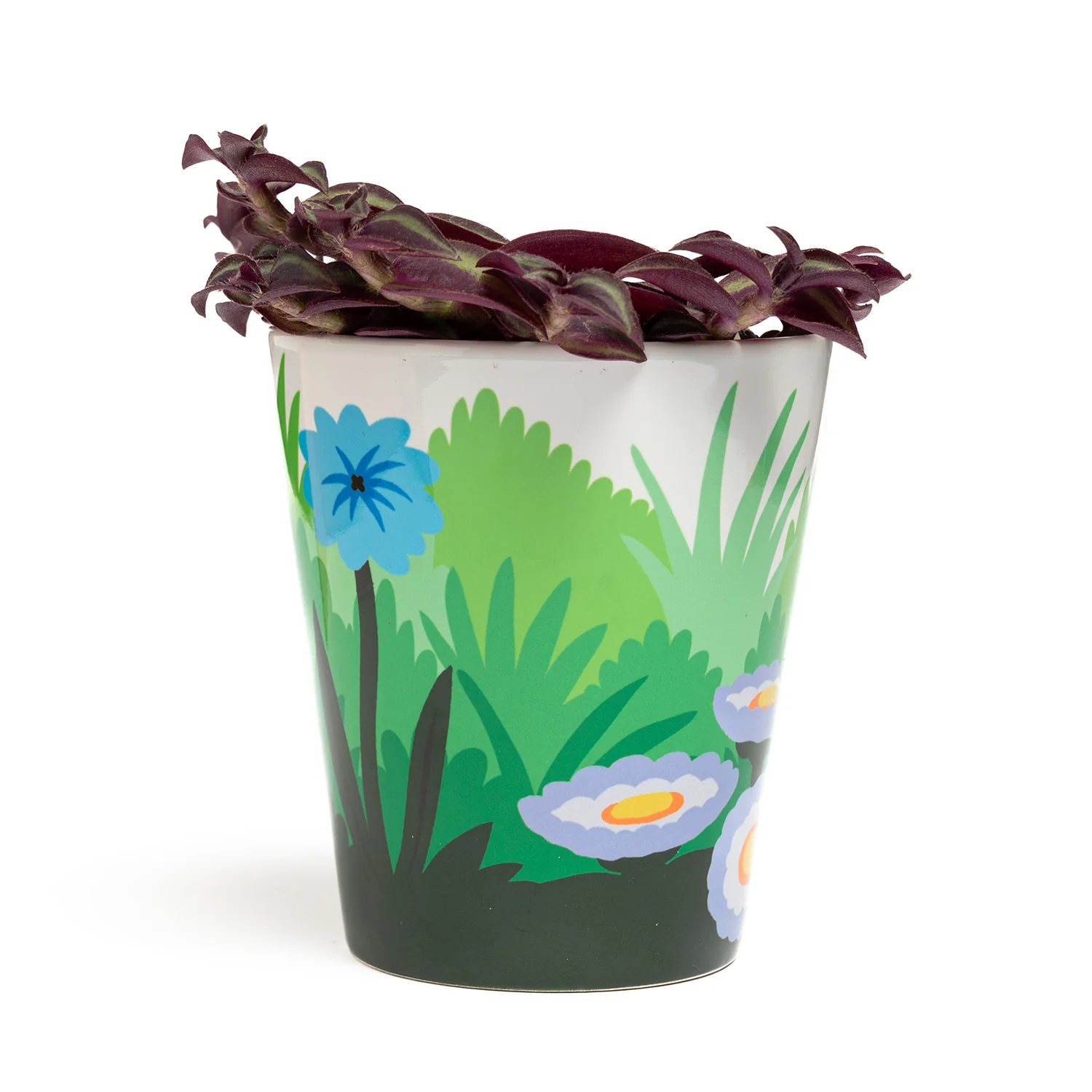 Fred Aldous Aster Plant Pot - Image 3