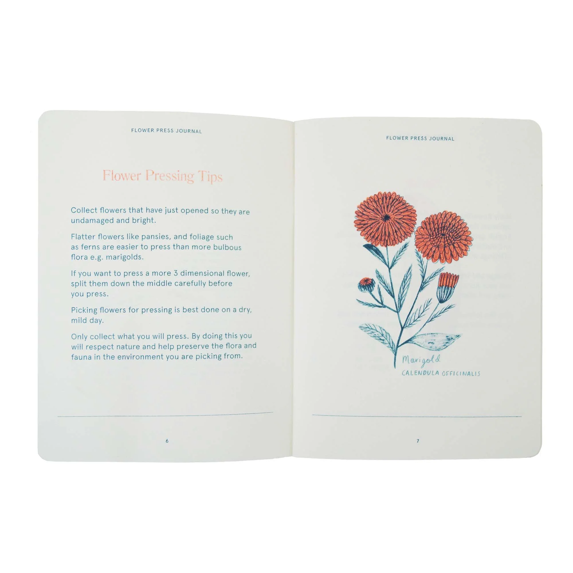 Fred Aldous Flower Press Kit - Image 8
