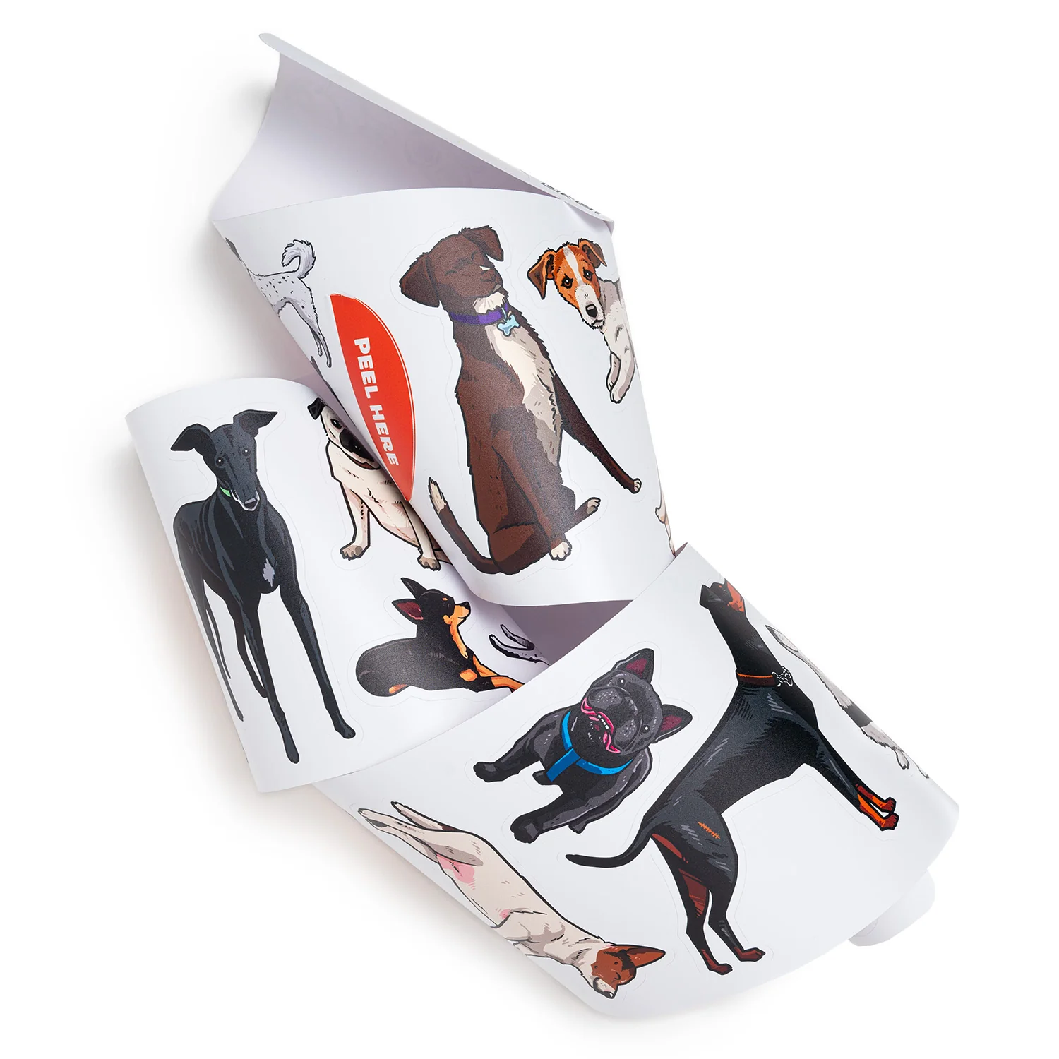 Fred Aldous X Hammo Dogs Sticker Pack Medium - Image 3