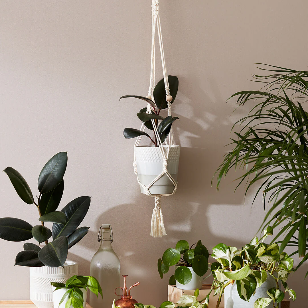 Hang Time DIY Macrame Plant Pot Hanger - Image 3