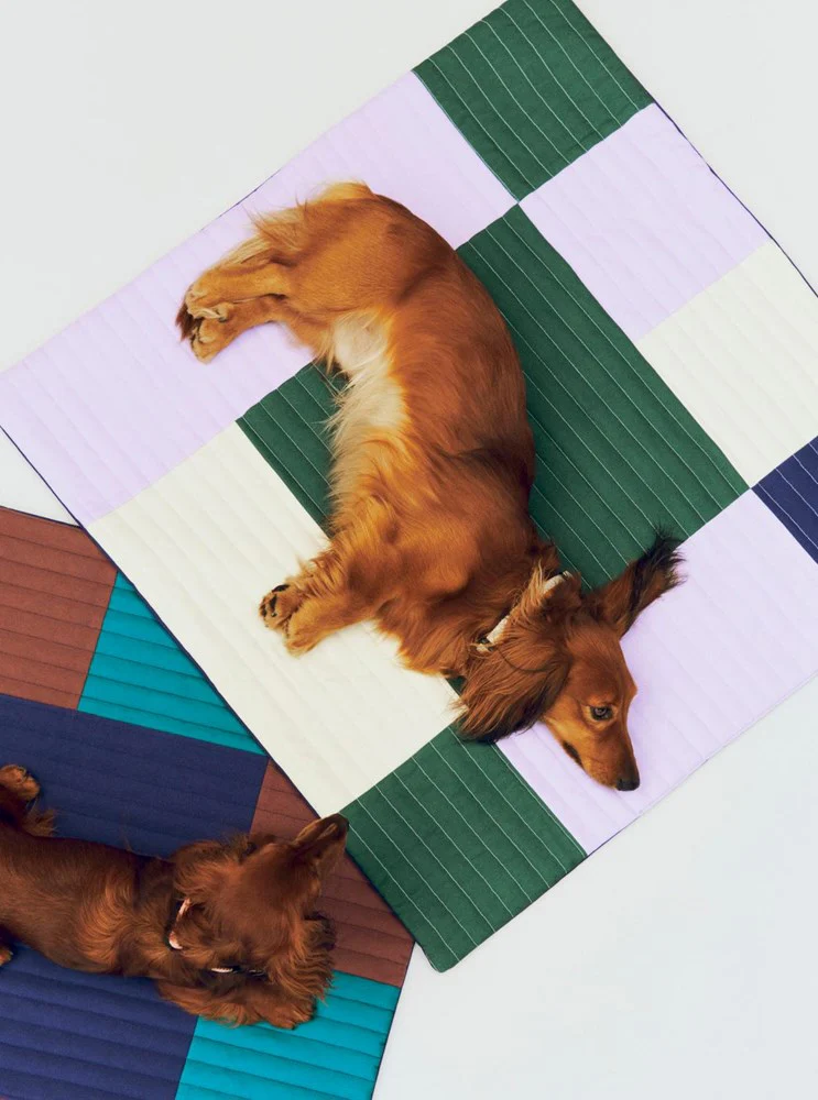 Dog Travel Blanket - Image 2