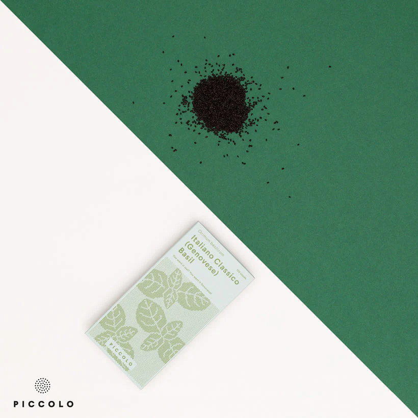 Seed Collection: Italiano Classico (Genovese) Basil