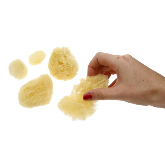 Jakar Artists Natural Sea Sponges - 4-6 Assorted - Image 2