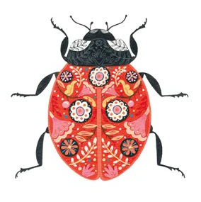 Ladybird Card - Image 2