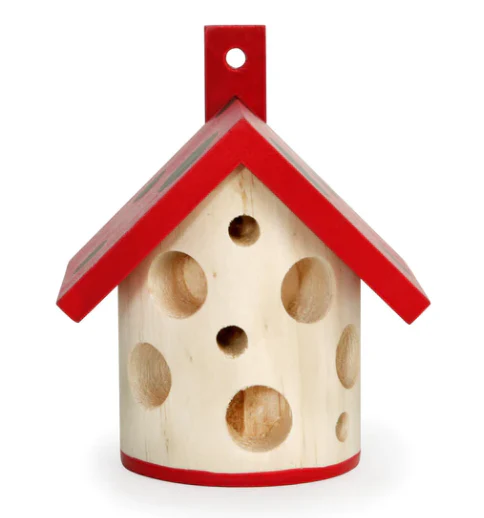 Ladybug House