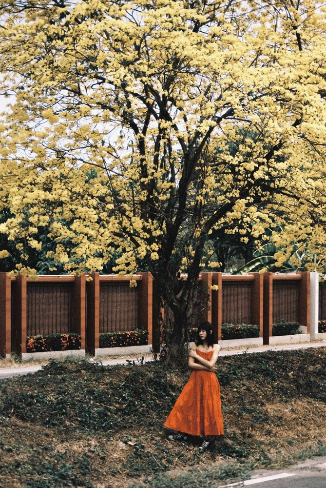 LomoChrome Color 92 Sun-kissed 35 mm ISO 400 - Image 2