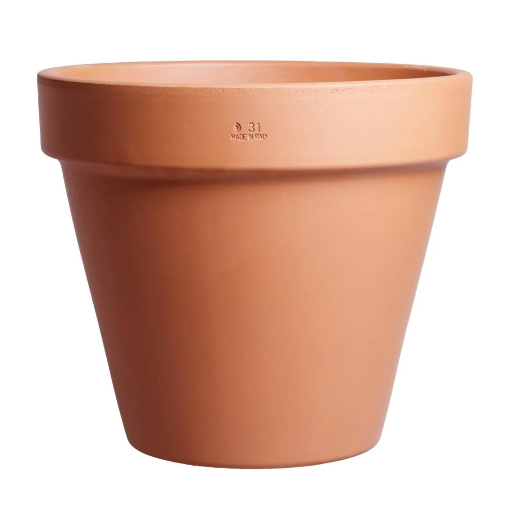 Lucca Terracotta Planter