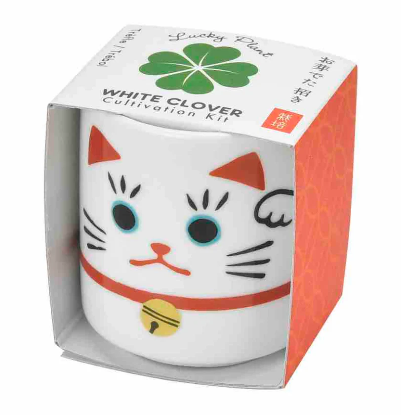 Lucky Plants Cultivation Kit - Image 2