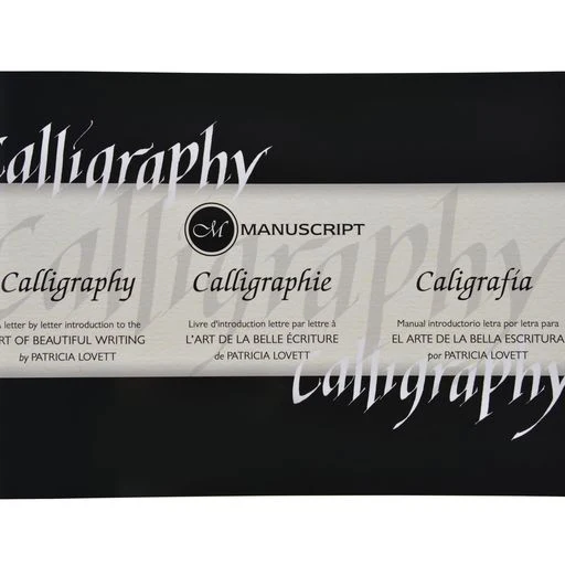 Manuscript Masterclass Manual - Image 3