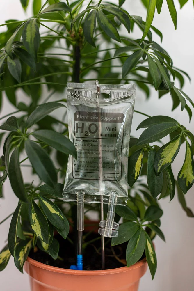 Mini Plant Life Support Watering Device - Image 2