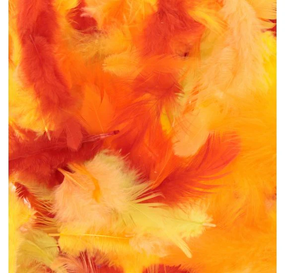 Mixed Coloured Feathers 10G - Image 4