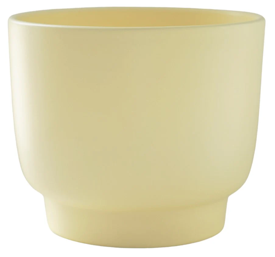 Molla Pastel Cacti Planter Lemon