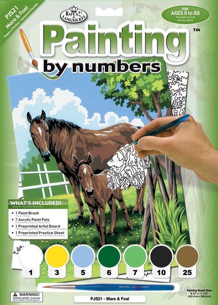 Paint By Numbers Junior Small - Mare & Foal